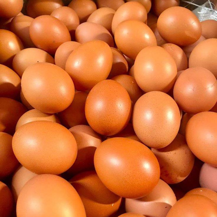 Kode Alam Telur Ayam: Makna, Tafsir Mimpi, dan Simbol Kehidupan yang Perlu Anda Ketahui